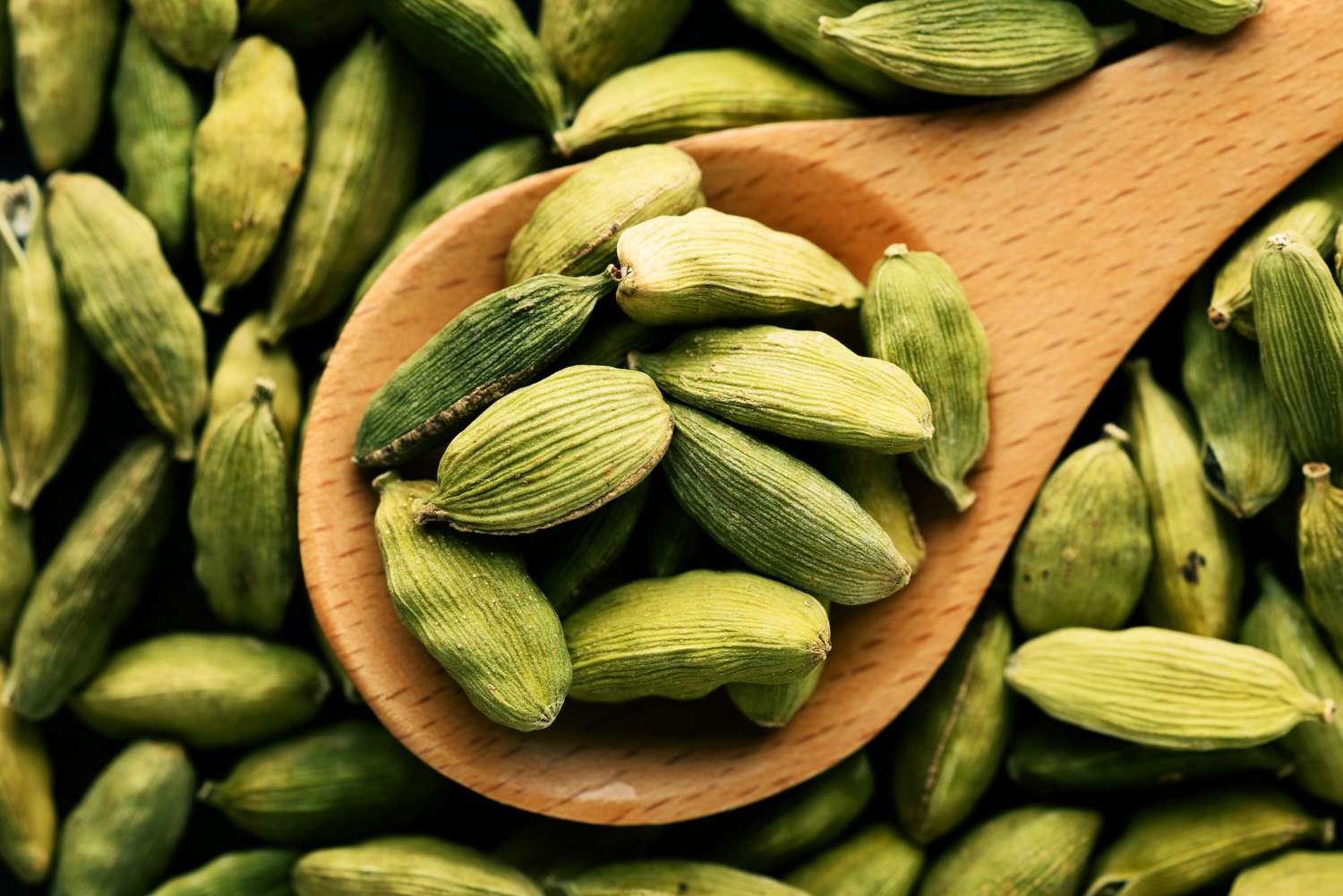Opens with an energetic blend of crisp apple and zesty bergamot, perfectly sharpened by the warmth of exotic cardamom.