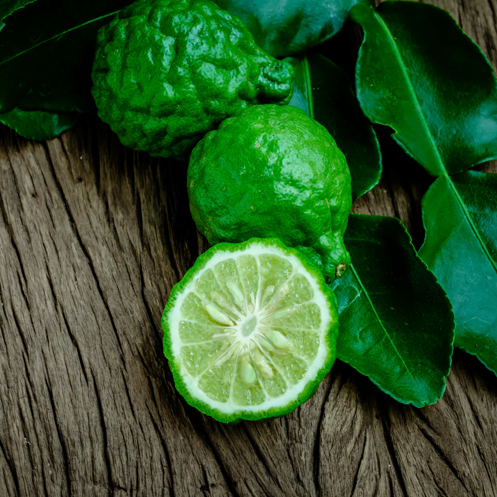 A vibrant burst of crisp pear accord, zesty tangerine essence, and refreshing Calabrian bergamot heart that delivers a multi-dimensional first impression.