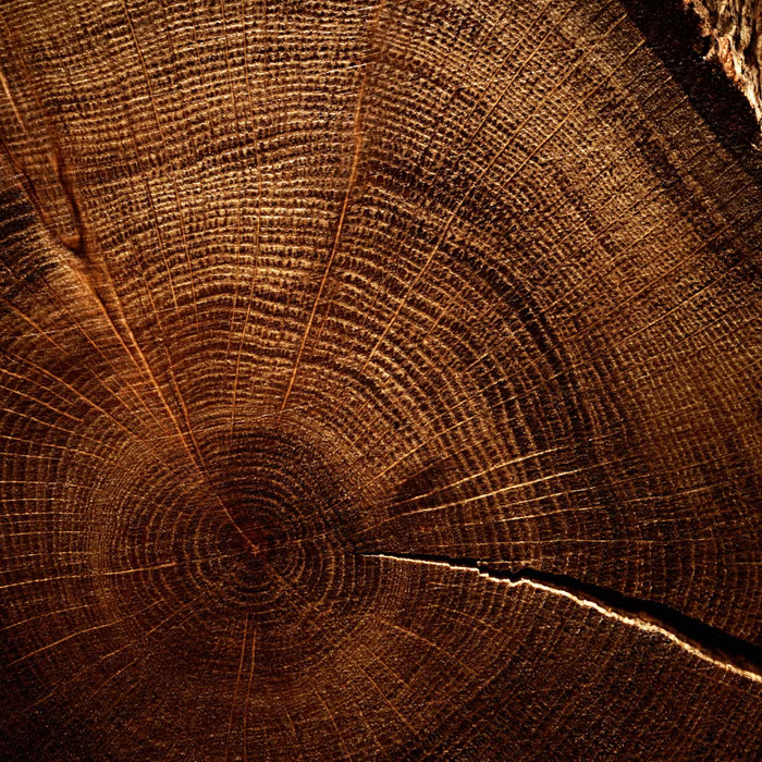 Oakmoss, musk, ambergris, and vanilla create a rich, refined base that lingers with exceptional depth and character.