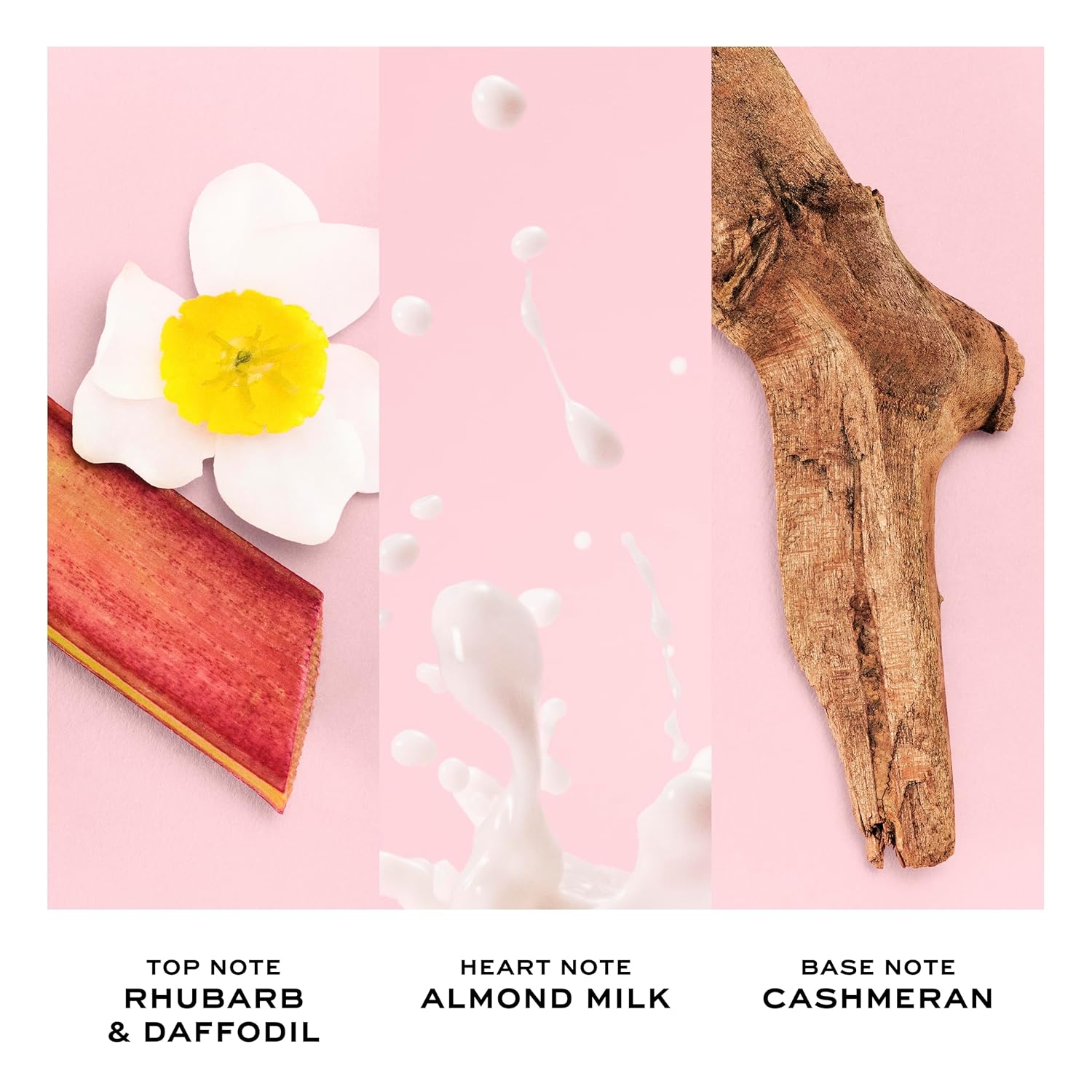 A three-panel triptych showcasing rhubarb and daffodils, almond milk next to coconut, and cashmeran beside cedarwood logs.
